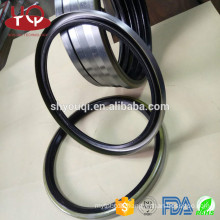 Factory price TB metal shell +Spring oil seal for Auto Car truck electric Motor shaft